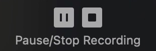 zoom pause:stop.jpg